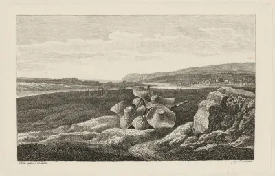 A Harvest Scene with Straw Hats Lying in a Field
