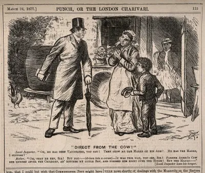 A health inspector dismayed to discover that a mother thinks her child has been vaccinated because he has been butted by a cow