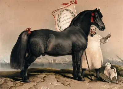 A healthy horse, representing the healthy effects of free trade