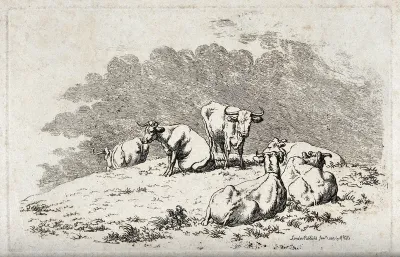A herd of cows resting on a meadow
