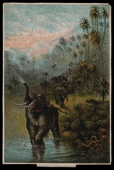 A herd of elephants proceeding to a watering hole in the jungle