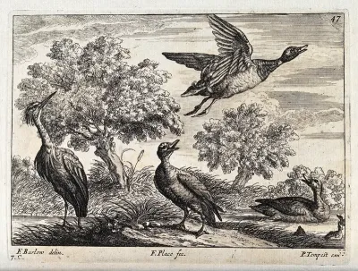 A heron and ducks by the water's edge