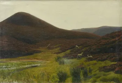 A hilly heath landscape with sheep.
