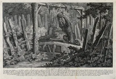 A honey-trap for a bear in the forest