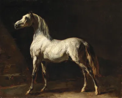 A Horse