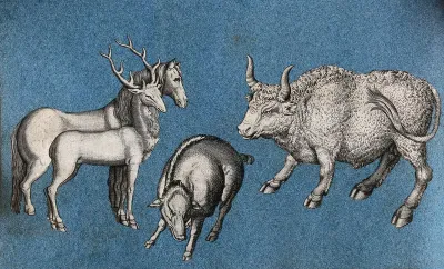 A horse, a deer, a warthog (or wild boar?) and a bull