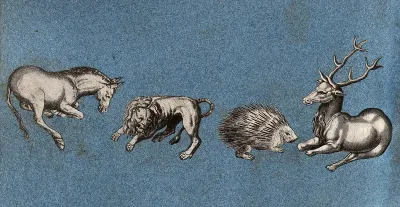 A horse, a lion, a hedghog and a stag