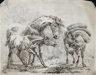A horse and its foal are looking at a pack-mule