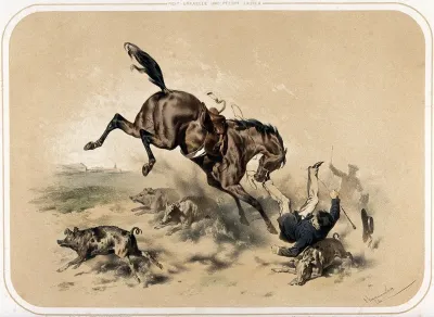 A horse baulks at or trips over (?) a herd of pigs, unseating its rider who lands on a pig