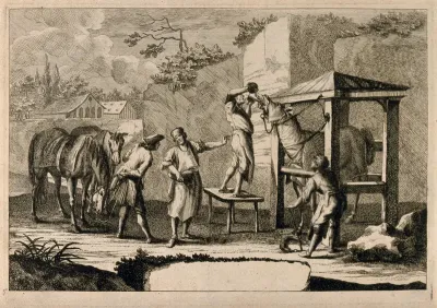 A horse-doctor and his assistants administer medicine to a horse restrained in an outdoor stall, observed by a man with two horses