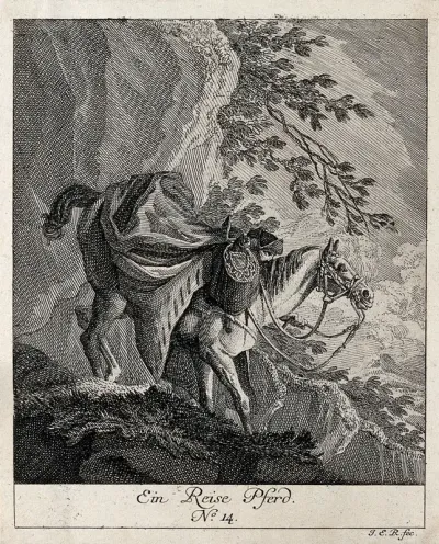 A horse packed with luggage, guided down a steep mountain by a horseman holding its reins