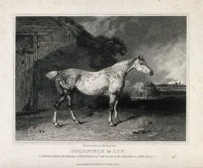 A horse standing outside a thatched cottage