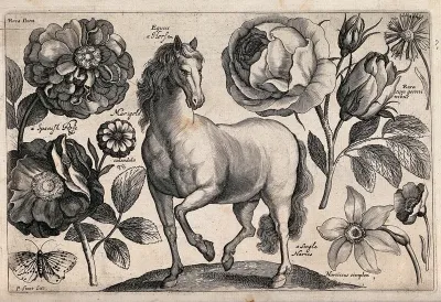 A horse surrounded by three roses, a marigold, a daffodil and a butterfly