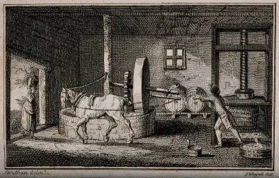 A horse turning the wheel to crush apples in a cider-mill