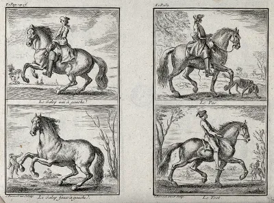 A horseman showing three different gaits with his horse, including the gallop, the pas and the trot and a horse galloping alone