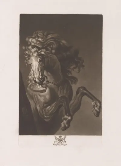 A Horses Head