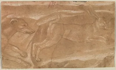 A Hound Chasing a Hare