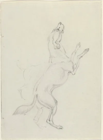A Hound Jumping