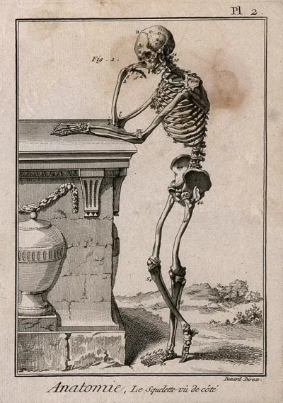 A human skeleton, leaning against a tomb, after Vesalius: lateral view