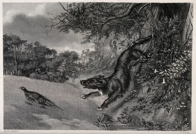 A hunting dog chasing after fowl while the huntsman reloads his gun