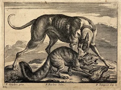 A hunting dog is biting a fox which in turn is killing a bird