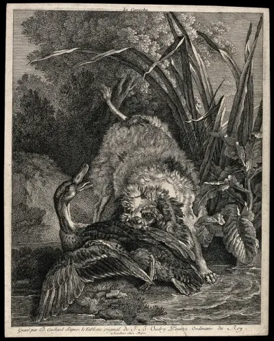 A hunting dog seizing a duck on the shallow end of a lake