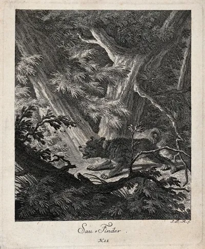 A hunting dog standing in the dense growth of a forest