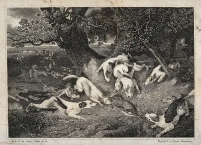 A hunting scene in which a fox is cornered by dogs and huntsmen are approaching