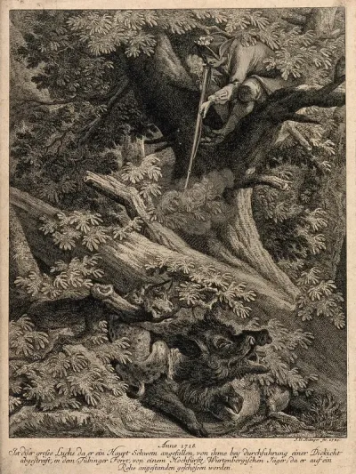 A huntsman sitting on a tree is about to shoot a lynx chasing a wild boar