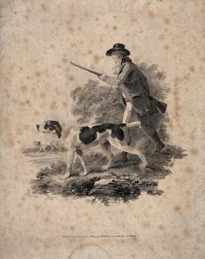A huntsman stalking prey with his two dogs holding his rifle under his right arm