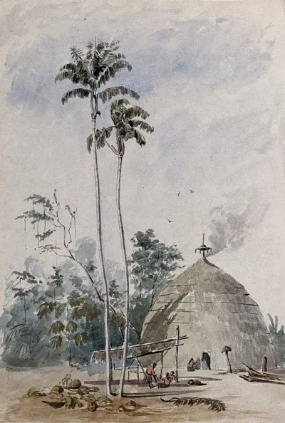 A hut and its inhabitants with palm trees in Guyana