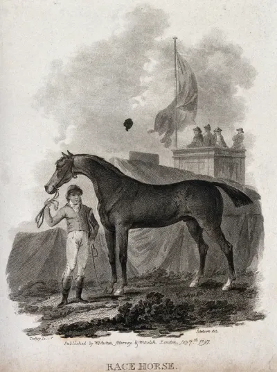 A jockey holding a race horse by its reins