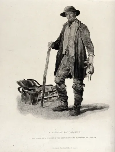 A Kentish rat-catcher