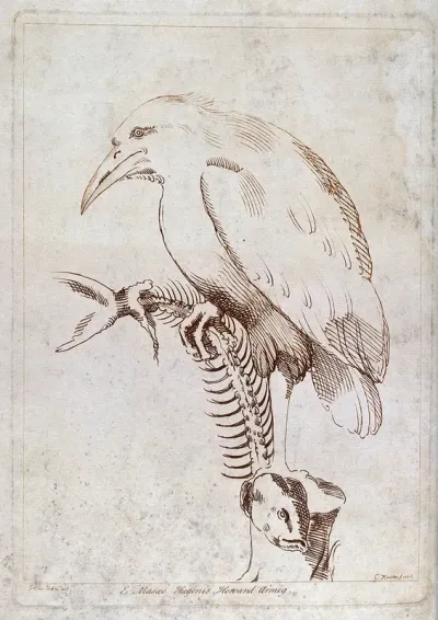A kingfisher holding a fish skeleton in one foot
