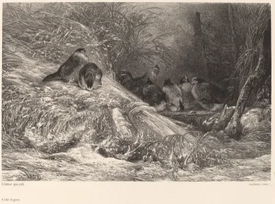 A l'abri du givre
