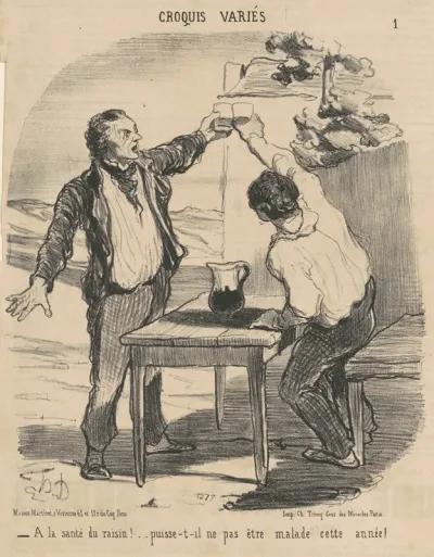 A la santé du raisin! ...