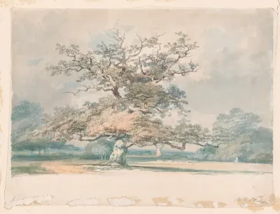 A landscape with an old oak (or beech) tree