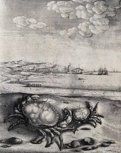 A large and a small crab are lying on a sea-shore