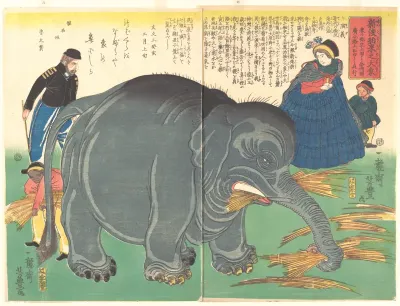 A Large Elephant Recently Imported from Overseas (Shinto hakurai no daizō)