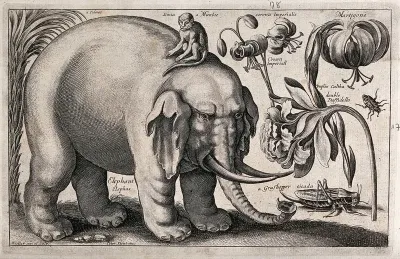 A large elephant with a monkey on its back and various flowers and insects