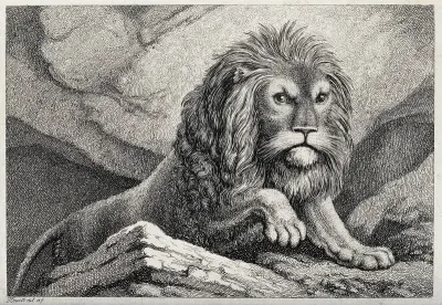 A large lion ascending a hill