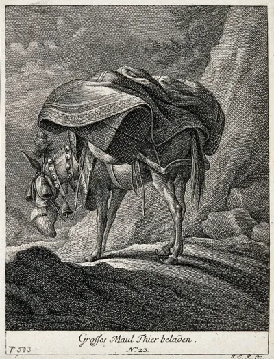 A large mule carrying a heavy load