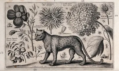 A leopard facing left surrounded by various named flowers and insects