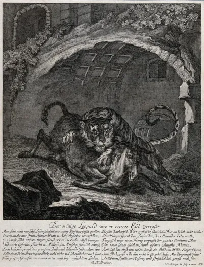 A leopard pouncing on a donkey