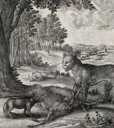 A leopard stands with one paw on a stag it has brought down and faces an approaching fox