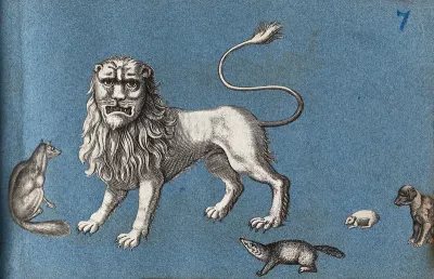 A lion, a fox, a dog and other animals