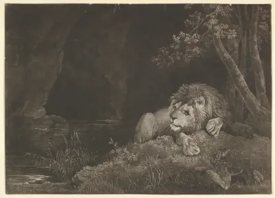 A Lion [A recumbent Lion]