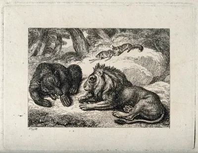 A lion and a bear snarling at one another