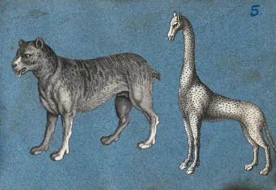 A lion (?) and a giraffe