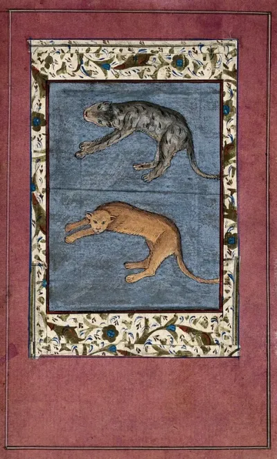 A lion and a leopard (?)